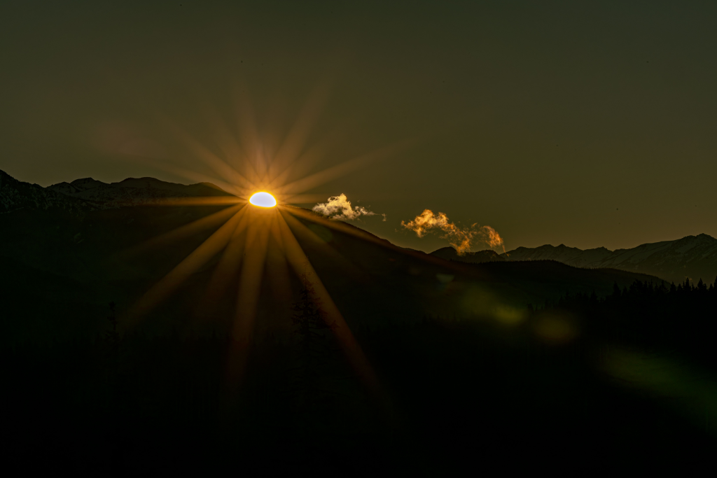 Sequim Photographer discount